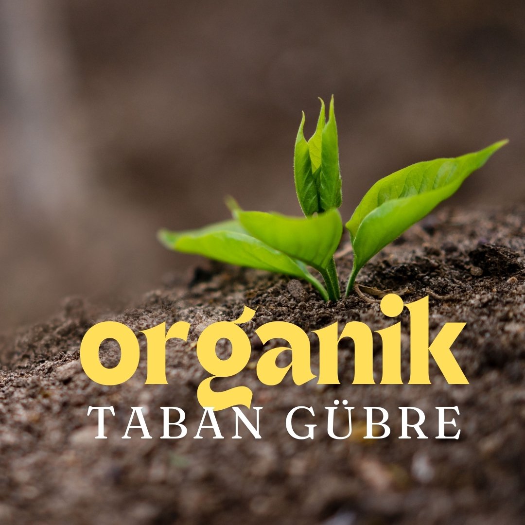 organik taban gübresi