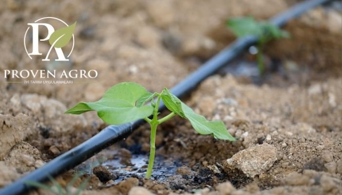 damlama sulama gübresi ne işe yarar