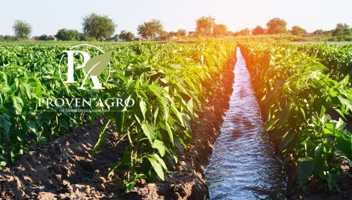 damlama sulama gübre